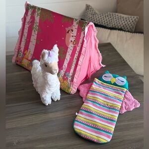 American Girl Wellie Wisher Lot